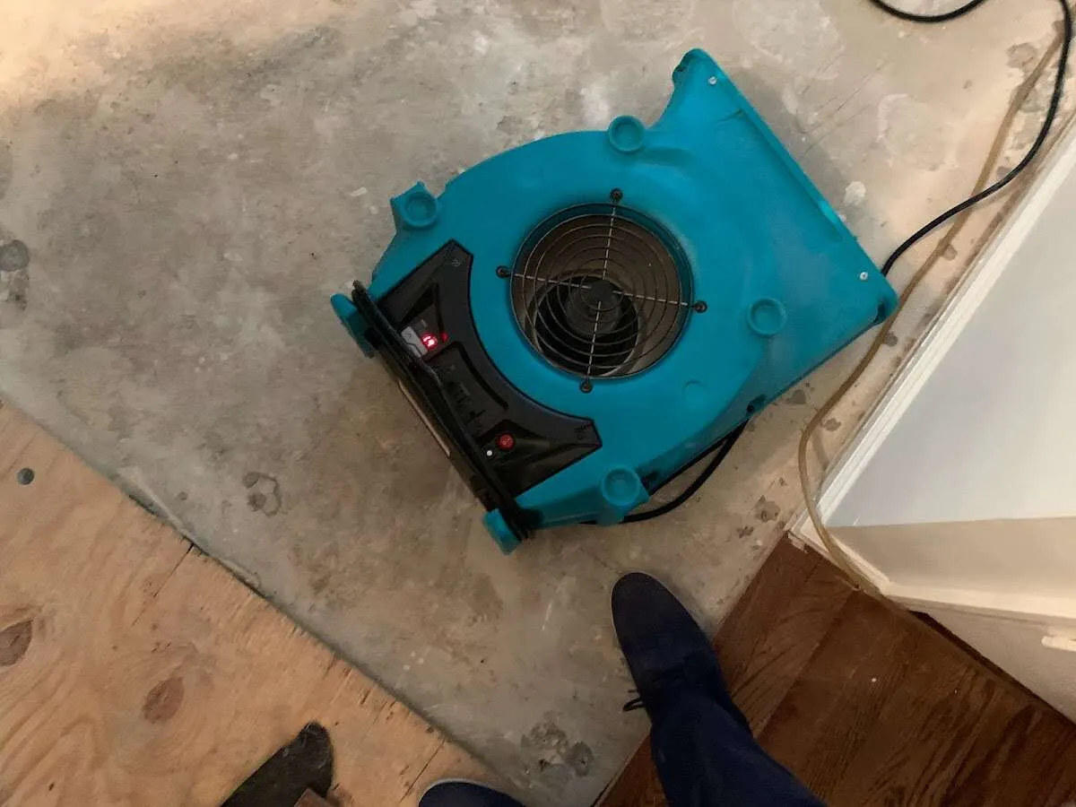 Air mover drying subfloor during Leak Detection & Repair in Westchase