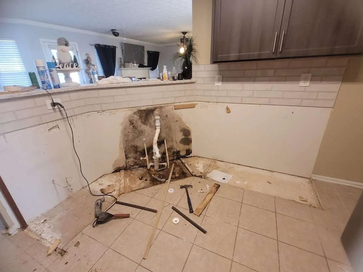 Mold behind wall with plumbing during Flood Damage Cleanup in Westchase